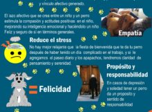 6 Beneficios de tener un perro