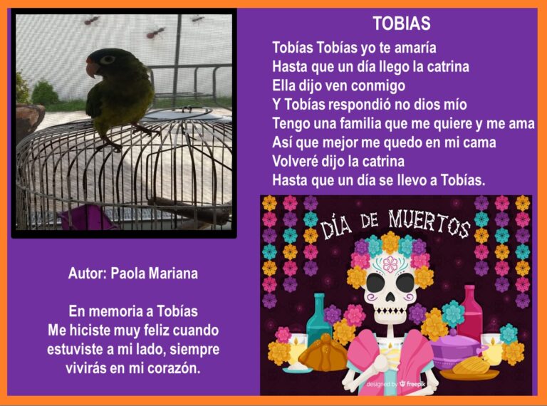 Calaveritas literarias para mi mascota - Todo sobre mi perro